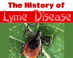 The History of Lyme Disease