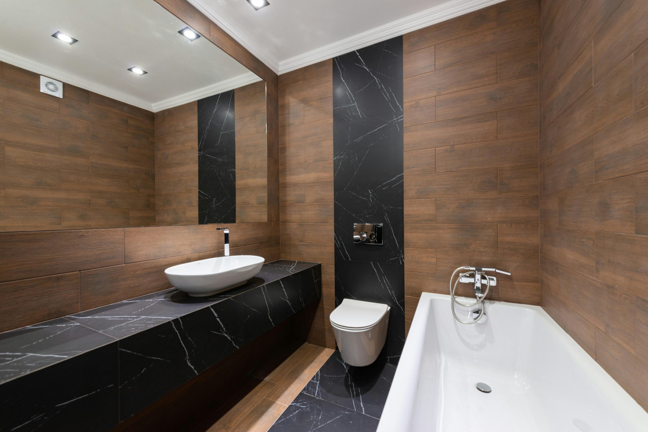 A Toilet in the Home