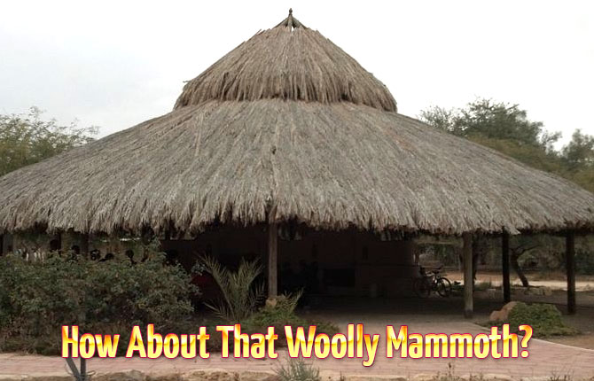 Woolly-Mammoth