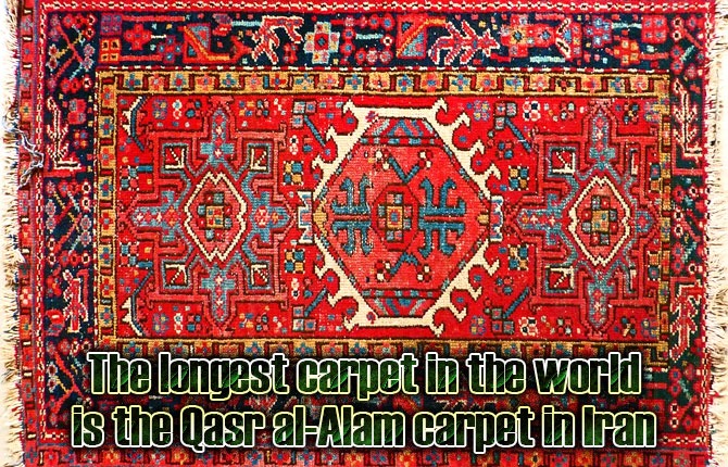 longest-carpet