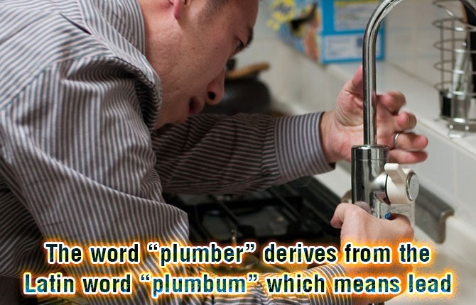 the-word-plumber