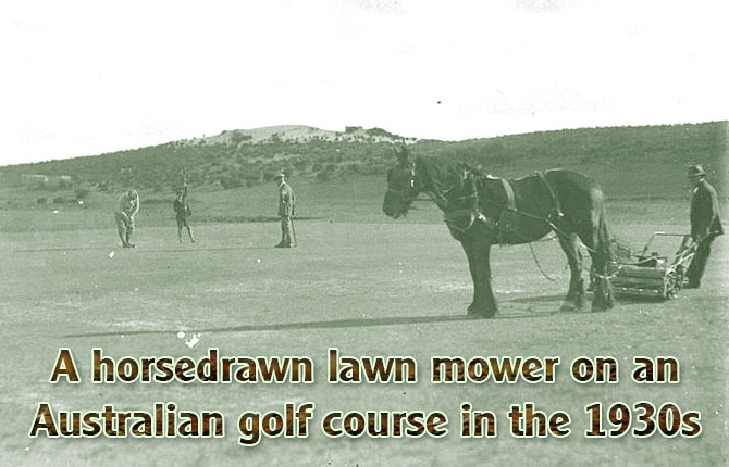 horsedrawn-lawn-mower