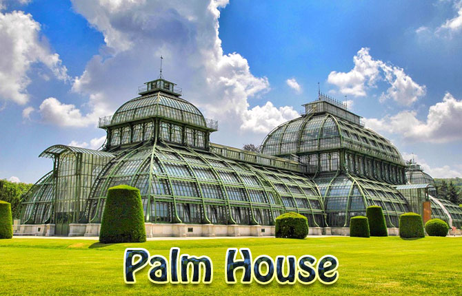 palm-house