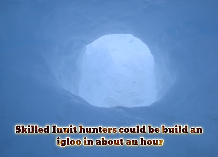 Skilled-Inuit-hunters-could