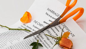 Divorce rates soared, causing diversities on American family structure