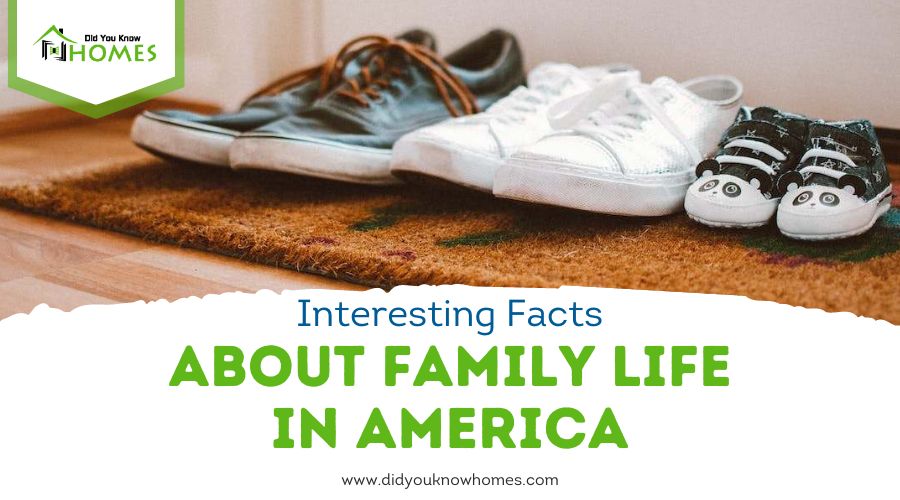 Interesting Facts about Family Life in America