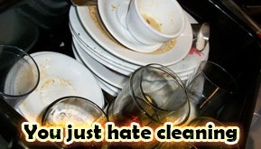 You just hate cleaning