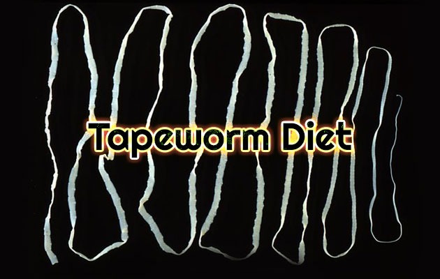 Tapeworm diet