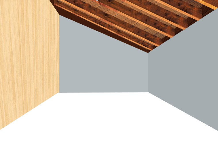 Shed Ceiling