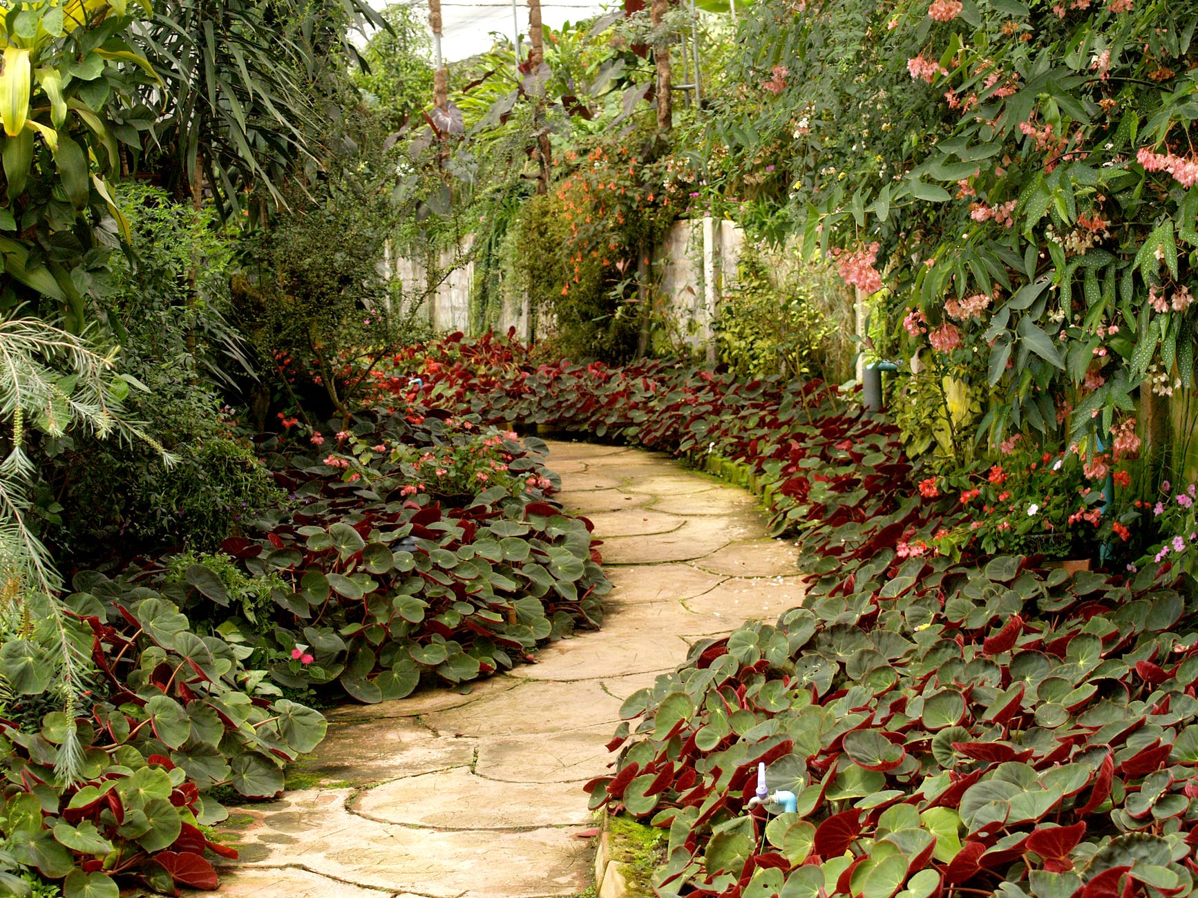 3 Reasons Why You Should Consider Landscaping