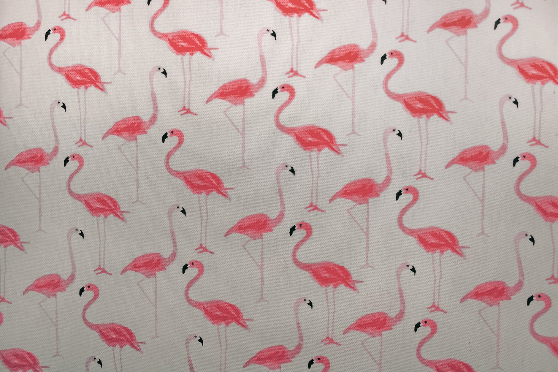 Tips on How to Best Use Wallpaper Murals