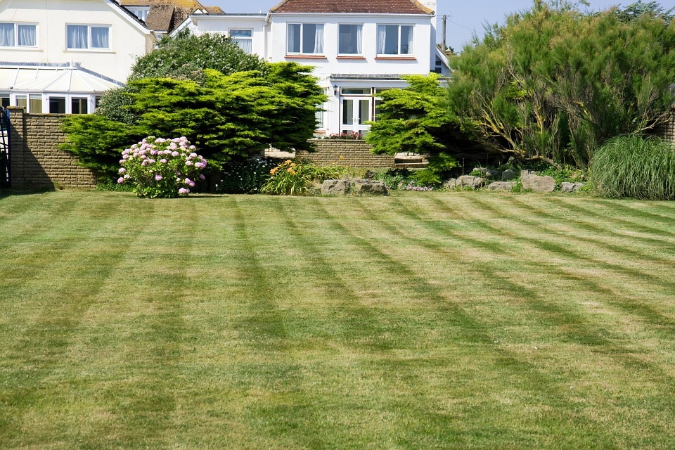 a recently mowed lawn