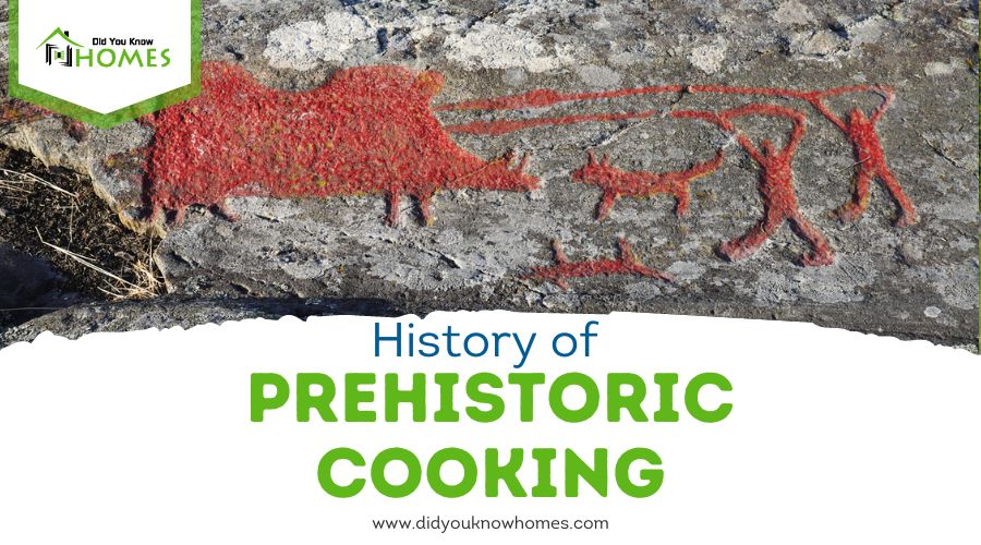 History of Prehistoric Cooking