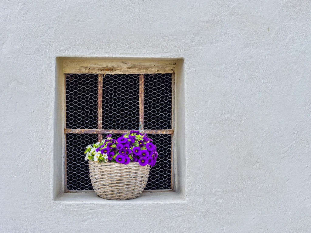 5 Exterior Window Remodels