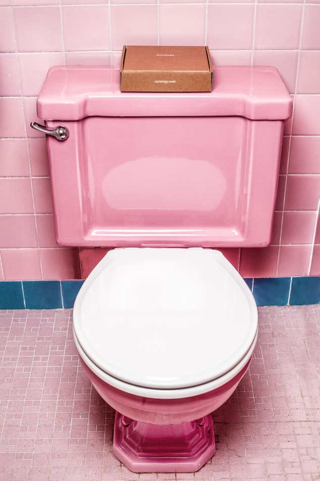 What are the Different Types of Toilets