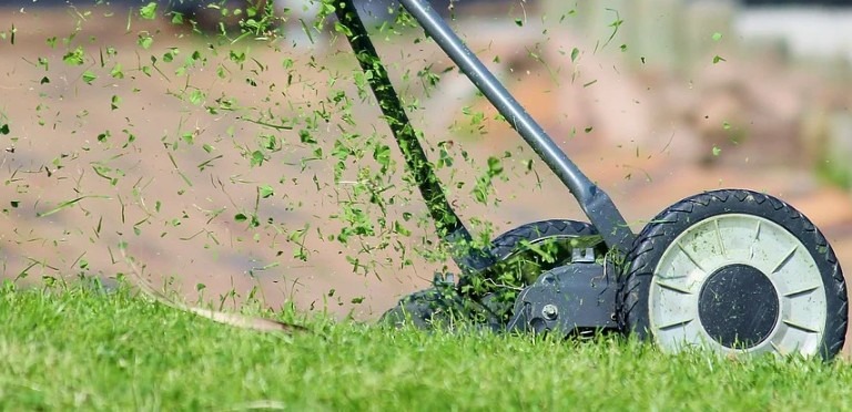 7 Things you should not do to your Lawn
