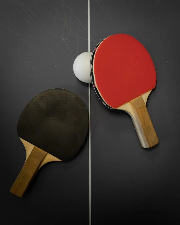 How To Choose A Ping Pong Paddle For Speed And Spin
