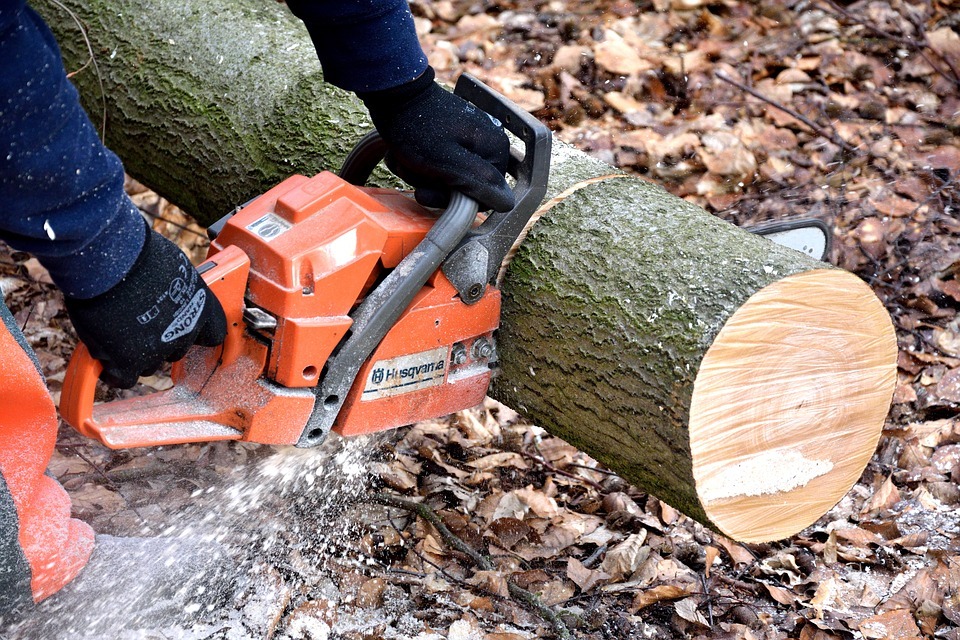 Electric chainsaw vs Petrol chainsaw for home use