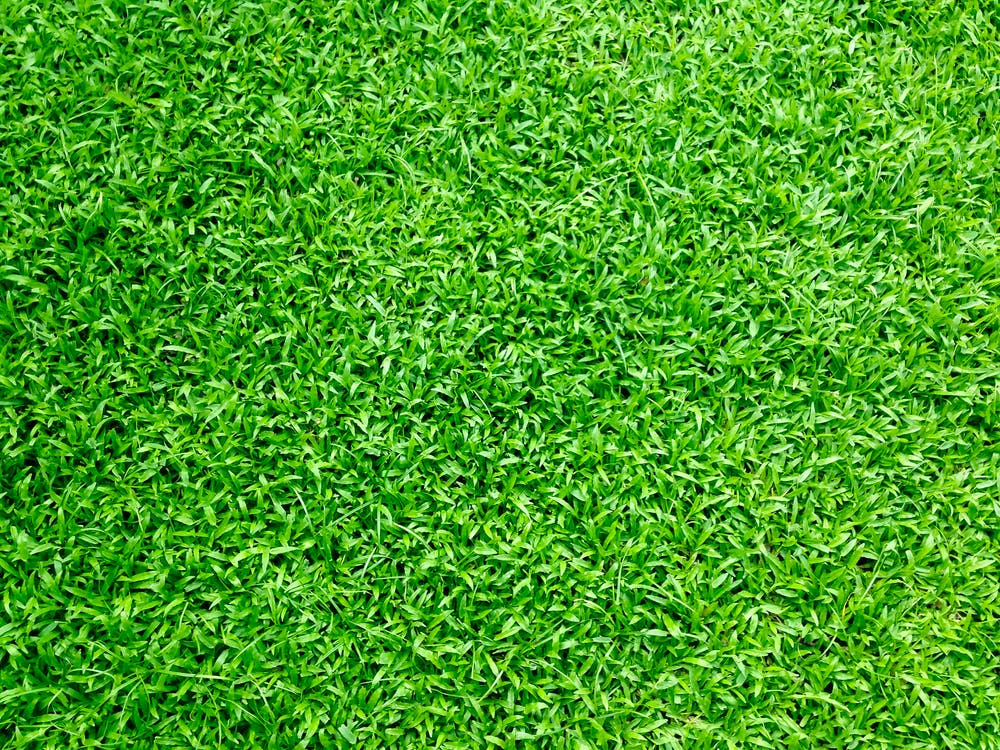Benefits of Artificial Grass