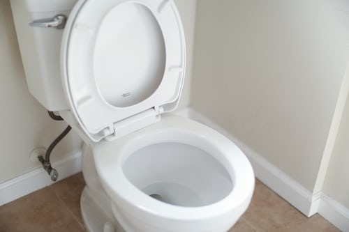 Important Factors to Consider when Choosing a Toilet Seat