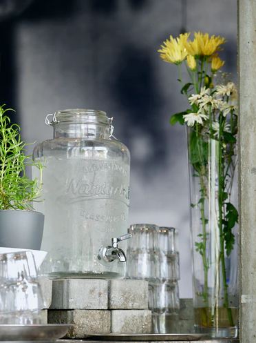 A Picture Displaying a Clear Glass Water Pitcher Beside Green-Leafed Plant.