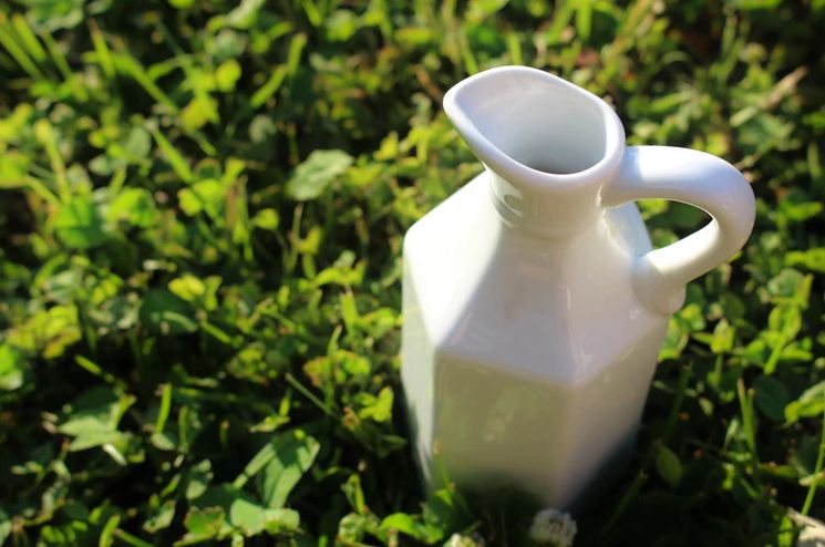 An Image of Water Ceramic Pitcher in Green Grass.