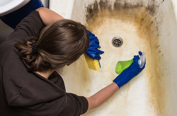 How a mold damage public can help you get the most out of your homeowner’s insurance damage claim