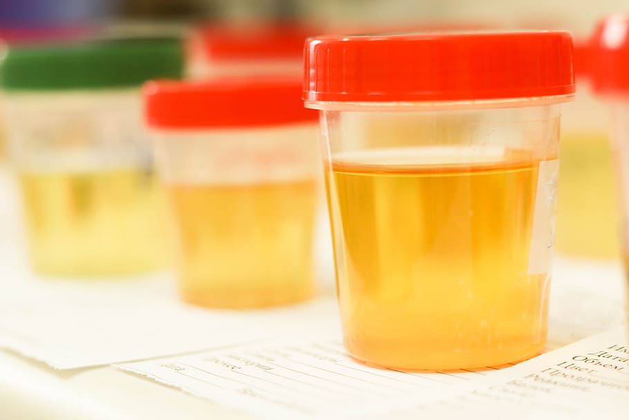 Uses of Synthetic Urine