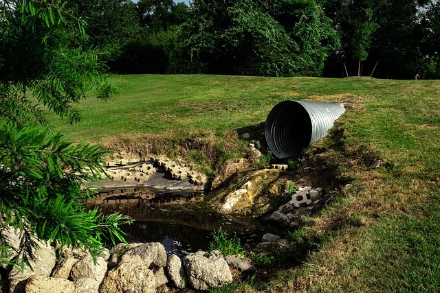 Are You Looking For Septic Tank Pumping Services in Knoxville, TN? What Can You Expect?