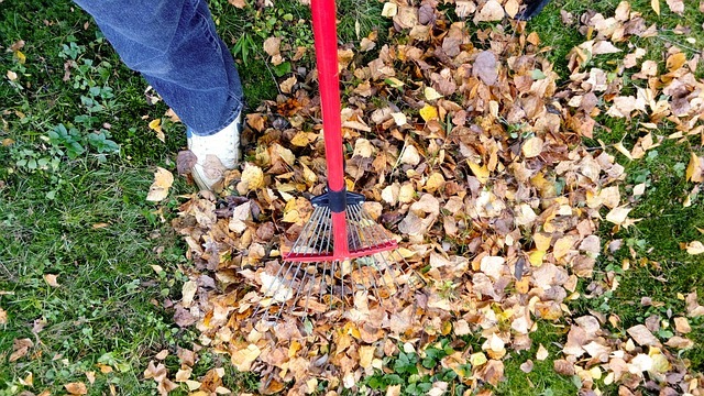 Five Tips to Get You Ready for the Spring Yard Cleanup of 2021