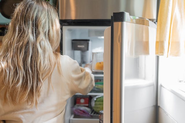 How Much Electricity Does a Refrigerator Use Per Month?