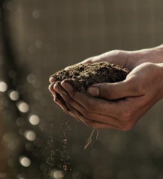 The Quality of Your Soil