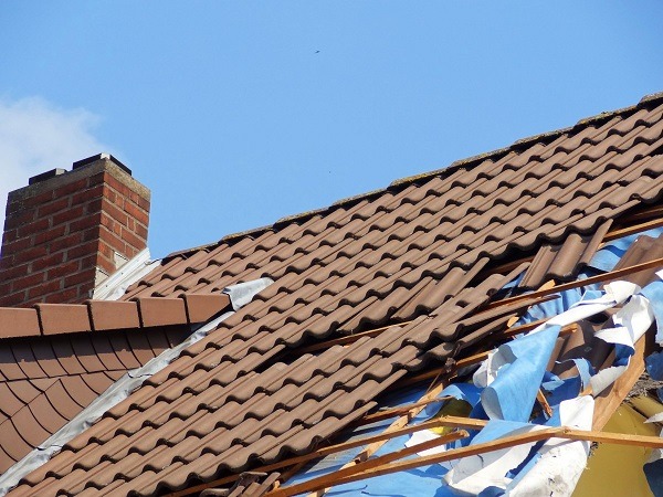 What are common cause of roof damage