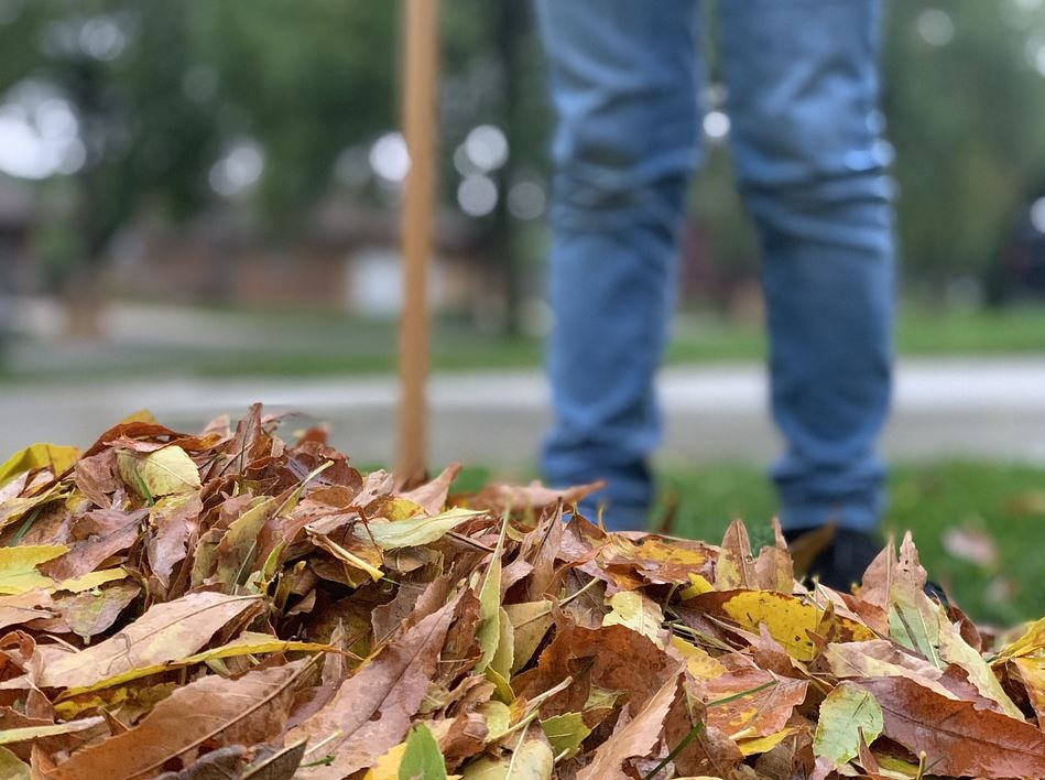 The Pros and Cons of Raking Leaves