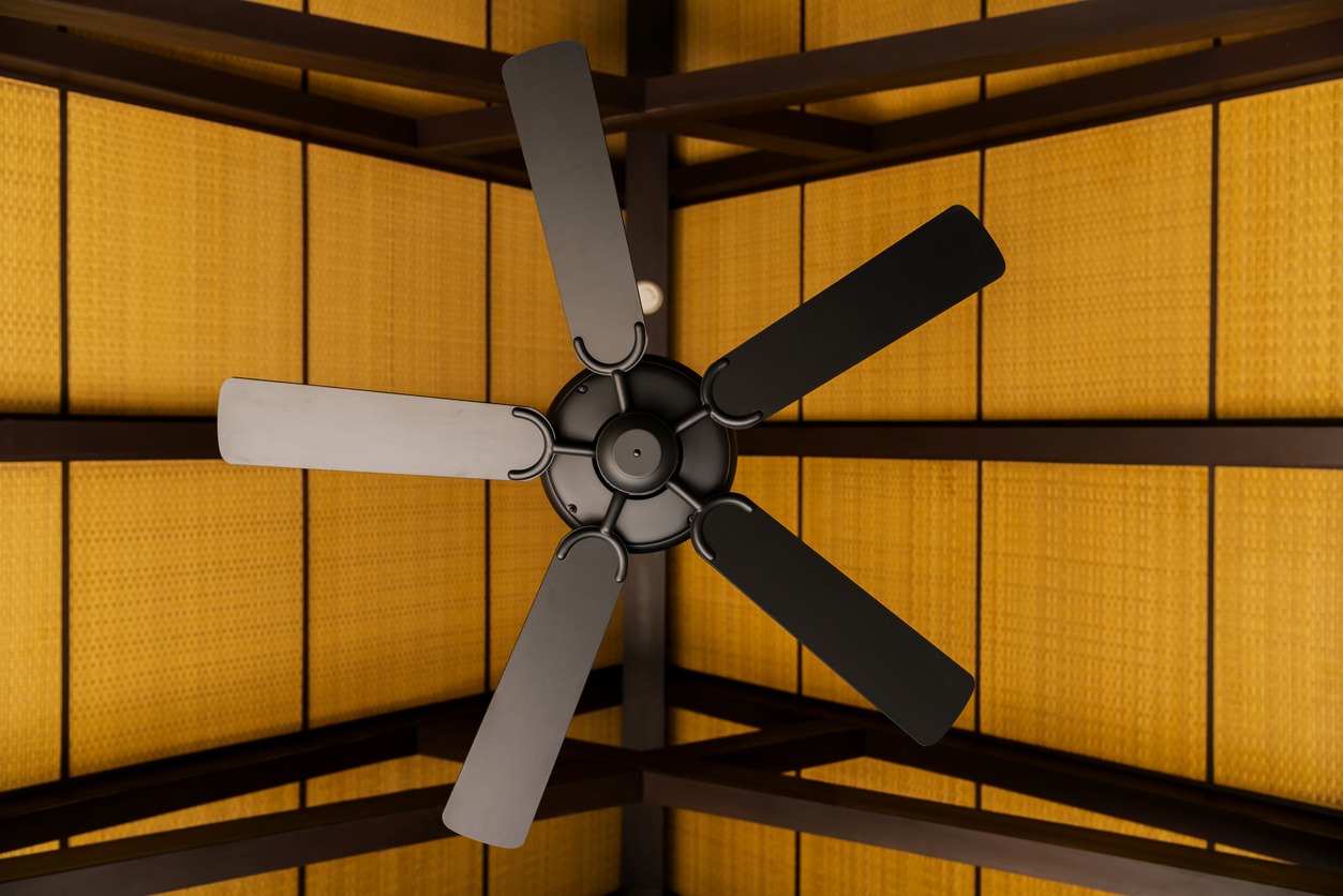 an indoor ceiling fan