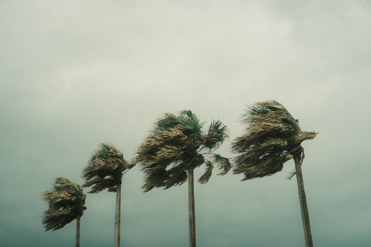 hurricane force winds