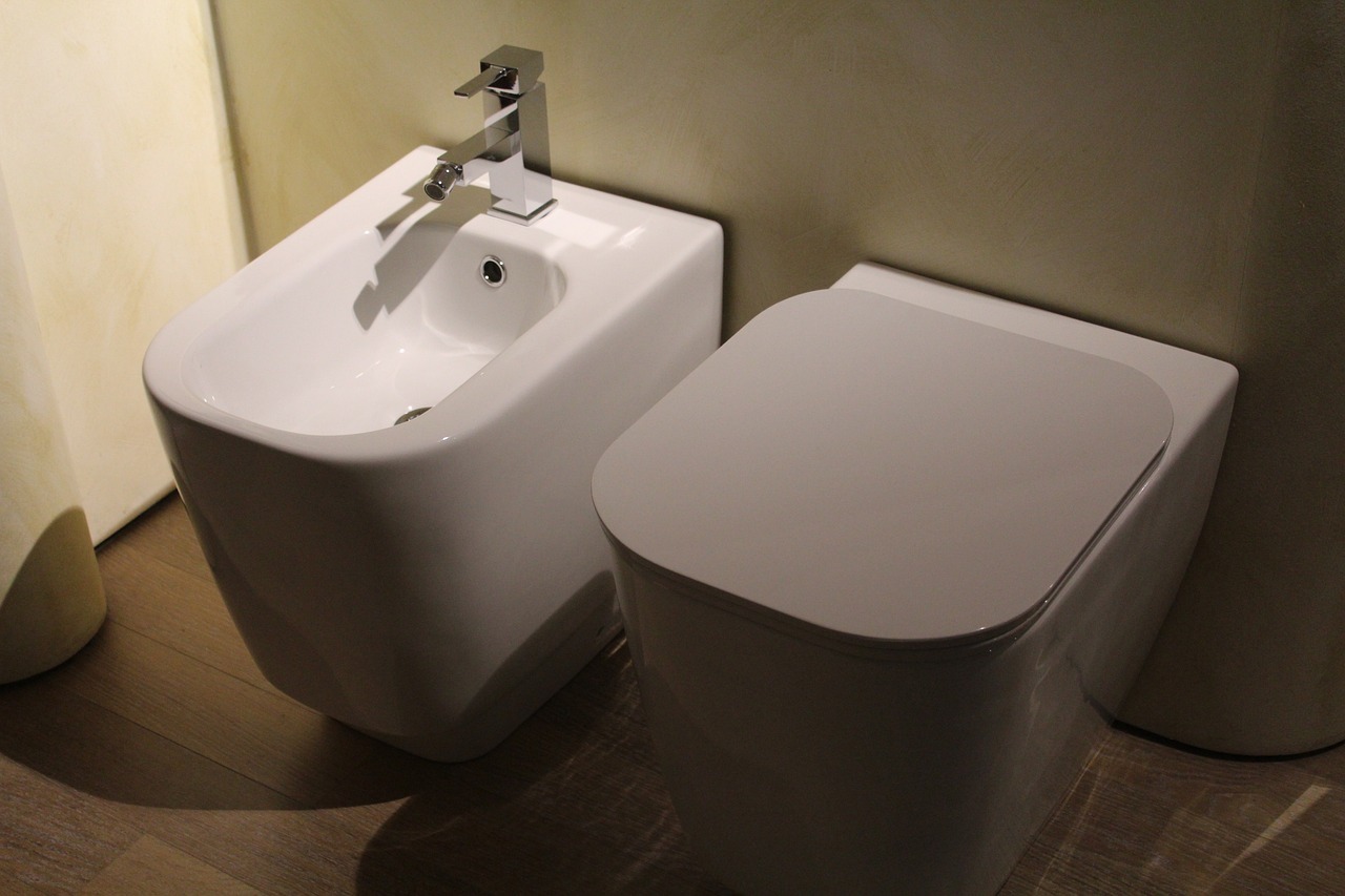 Why Use a Bidet For Your Home