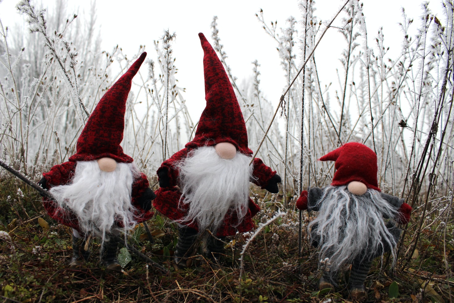How Christmas Gnomes Became A Classic Holiday Decor