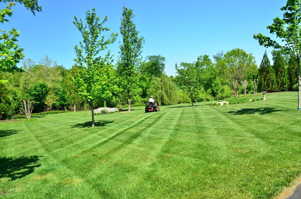 How to Turn your Lawn Maintenance and Care Franchise into a Success