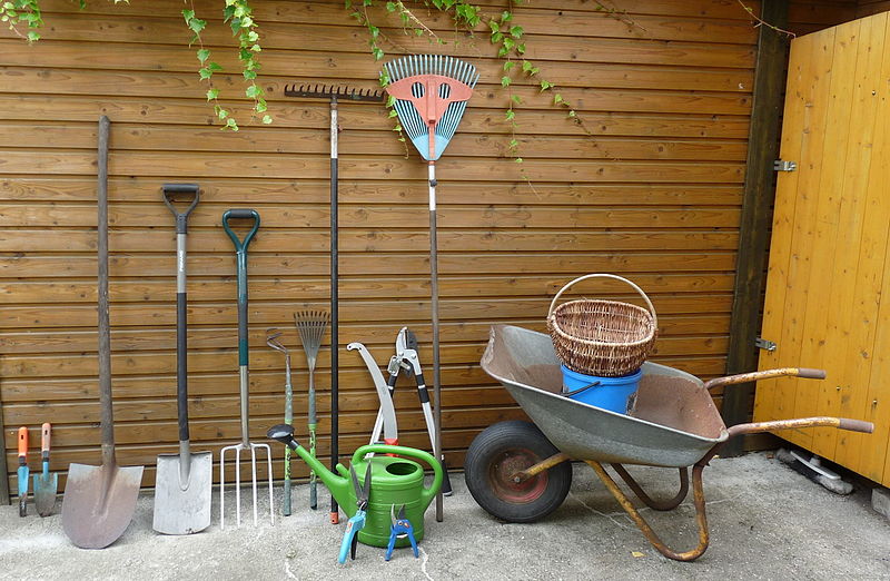 The 5 Garden Tools That Every Professional Gardener Should Have