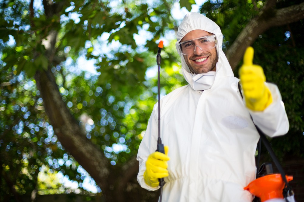 Portrait,Of,Smiling,Man,Showing,Thumbs,Up,While,Holding,Insecticide