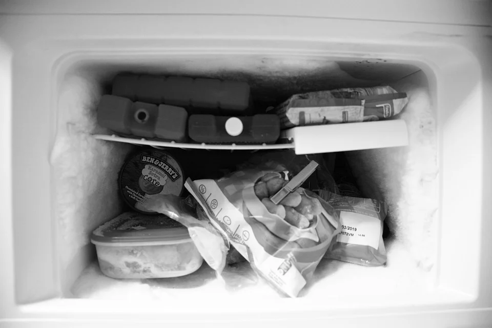 Most common fridge issues