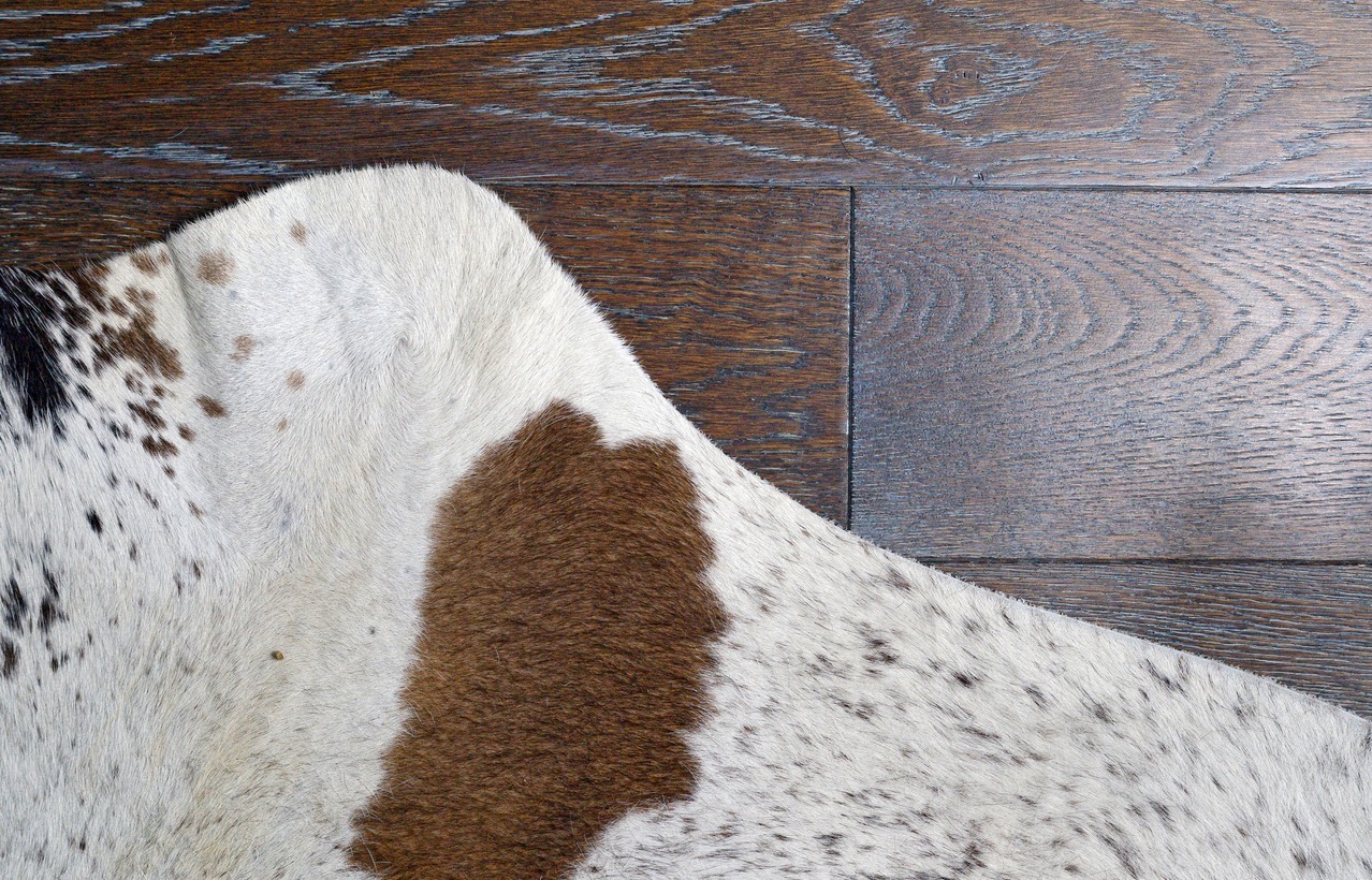 Zebu silver cowhide leather and hair details with brown engineered hardwood floor.