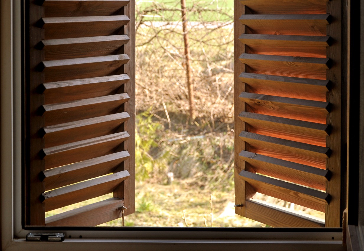Semi-open dark wooden shutters close-up and view of the spring garden.