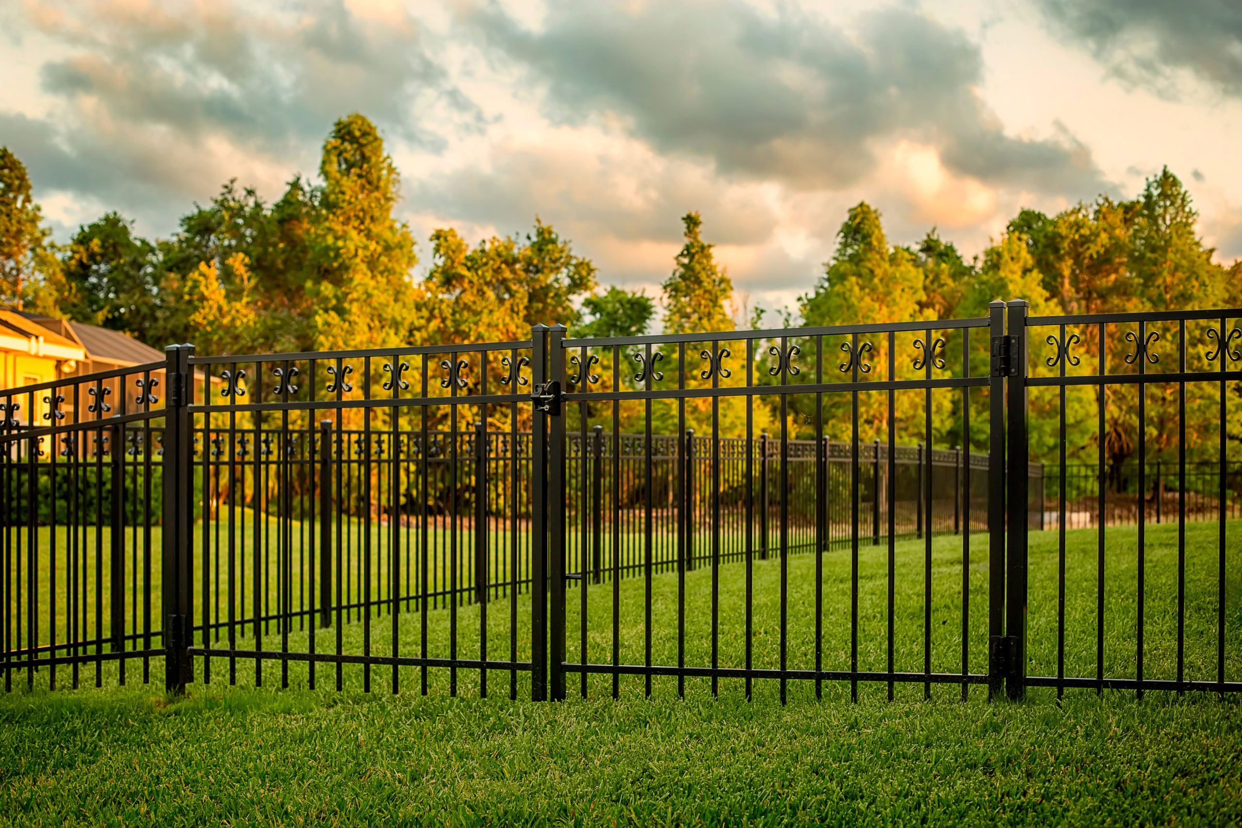 Black Aluminum Fence with double gates
