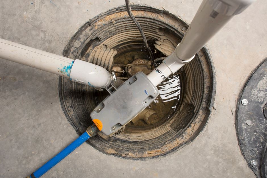 What to Do When Your Sewer Backs Up