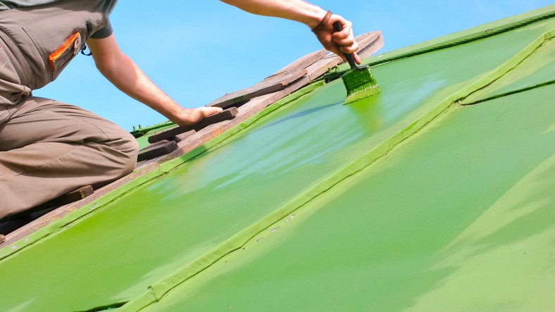 Man Brushing Green Paint onto the Roof