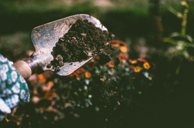 9 Ways to Improve Your Garden Soil Quality