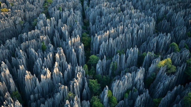 Tsingy Forest, Madagascar