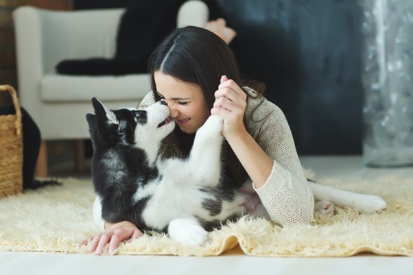5 great ways to make your home a furry-friendly kingdom